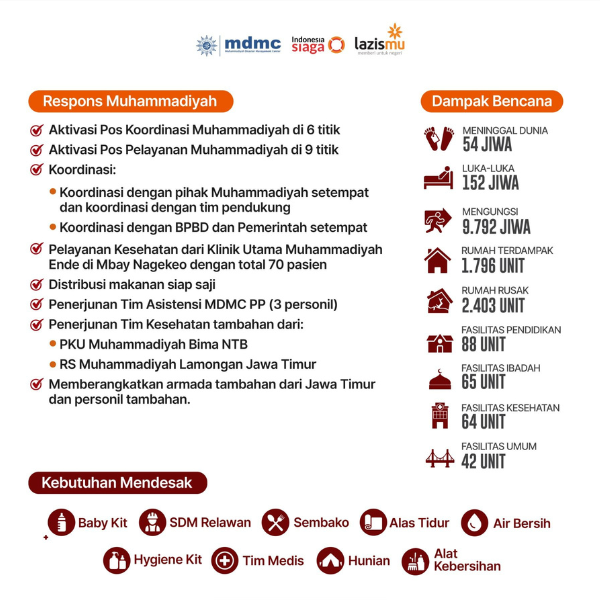 laporan sementara MDMC